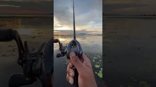 What Causes Backlash in a Baitcaster Watch This Short Demo [upl. by Nananne]