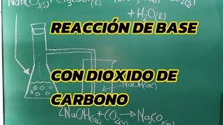 REACCION DE BASE CON DIOXIDO DE CARBONO chemistry ciencia edutuber aprendizaje experimento [upl. by Nylisoj872]