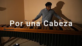 Por una Cabeza by Carlos Gardel arr Claudio Santangelo marimba cover [upl. by Naegem]