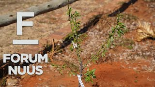 Forum Nuus AfriForum wil 1 000 bome in September plant 03092024 [upl. by Massab]