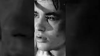 La Commovente Lettera dAddio di Alain Delon a Romy Schneider [upl. by Otcefrep]