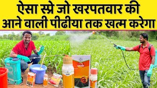 खरपतवार का 100 नियंत्रण  BEST CORN HERBICIDE SPRAY  LAUDIS  USE amp DOSE PER ACRE  Indian Farmer [upl. by Petulia]