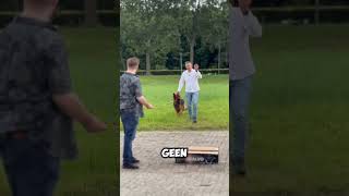 Honden en vuurwerk gaan niet samen  KNAL010 [upl. by Ennaeerb15]