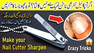 5 GENIUS Nail Clipper Tricks 😱 NAIL CUTTER make Sharpen Nail Cutter REPAIR in UrduHindi [upl. by Infeld]