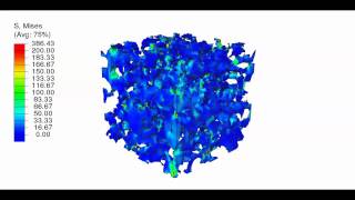 Fertig Research Group Compression of Porous Polymer [upl. by Macilroy795]