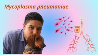 Mycoplasma pneumoniae [upl. by Birdella]