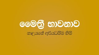 Maithree Bawanawa  Nauyane Ariyadhamma Thero [upl. by Bekki218]