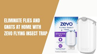 Eliminate Flies and Gnats at Home with Zevo Flying Insect Trap [upl. by Had]