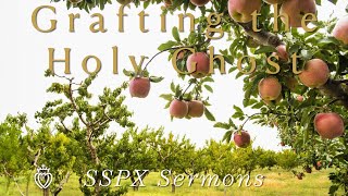 Grafting the Holy Ghost  SSPX Sermons [upl. by Rasla]