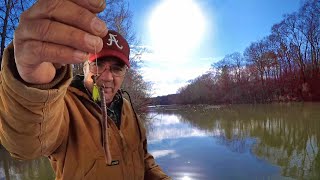 EASY Way To Catch Bluegill and Shellcracker ALL Winter LONG [upl. by Yelrebmyk]