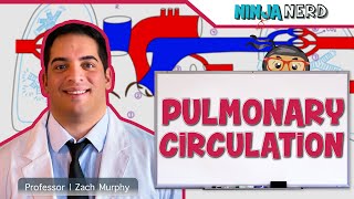 Circulatory System  Pulmonary Circulation [upl. by Yecnuahc]