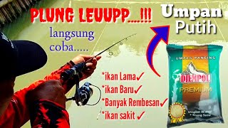 UMPAN WANGI BIANG SUSU AMISAN UDANG PLUNG LEPPUMPAN PUTIH REBUSIKAN LAMA IKAN BARU MAKAN [upl. by Eikcir824]