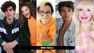 Sofie Dossi Vs Brianna Guidry Vs Brent Rivera Vs Soy Carlitos Vs Alan Stokes Lifestyle Comparison 🌟 [upl. by Nennerb]