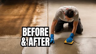 Clean Mildew Off Concrete Like a Pro 🧼 cleaning [upl. by Htnnek]