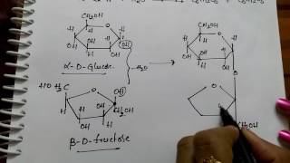 Disachharides Sucrose Maltose and Lactose Chemistry [upl. by Kihtrak610]