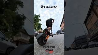 Hiley Tiger King GT [upl. by Nonrev]