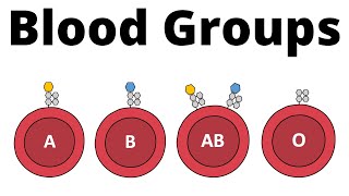 ABO Blood Group System AB0 Blood types amp compatibility explained [upl. by Sweatt35]