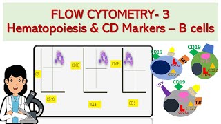 Flow cytometry 3  Acute lymphoblastic leukemia amp lymphoma  What you NEED to know [upl. by Waylan810]