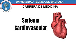 UTMACH EMBRIOLOGÃA I SISTEMA CARDIOVASCULAR  Katherine Orellana [upl. by Tail]