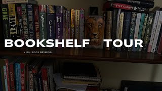 Bookshelf tour  mini book review [upl. by Avrit540]