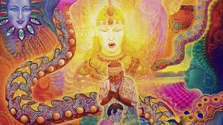 Ayahuasca compilation 2  Shamanic meditation music [upl. by Ynohtnaeoj215]