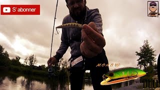 Leurre pour pêcher le Brochet  perche  bass  le Moab85F Duo Jerkbait animationtechnique [upl. by Lenette]