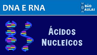 Glossario le BASI del DNA [upl. by Bakki]