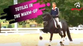 Totilas amp Edward Gal Grand Prix Dressage WarmUp At The World Equestrian Games [upl. by Eiznil]