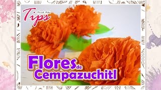 Dia de muertos  Flores de Cempazuchitl  DIY [upl. by Bittner340]