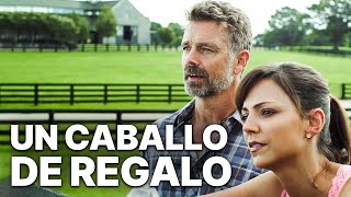 Un caballo de Regalo  Película de caballos  Familiar  John Schneider [upl. by Laks]