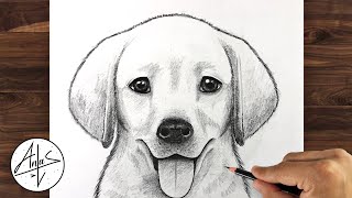 How To Draw a DOG GOLDEN LAB PUPPY  Drawing Tutorial [upl. by Enitsirhk]