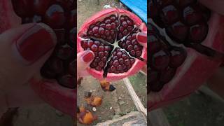 🍎Apple plant bracelet vegetable carving shorts shortvideo viralvideo apple food carving [upl. by Selima984]