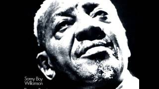 Sonny Boy Williamson II  Open Road [upl. by Yasdnyl]