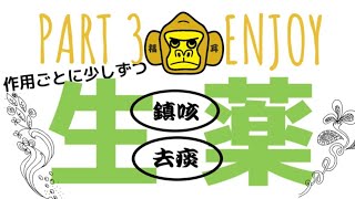 えんじょい生薬Part３【鎮咳去痰】登録販売者 [upl. by Sivehc]