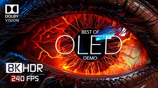 8K HDR 240 FPS Dolby Vision  Special OLED Demo [upl. by Kcirevam]