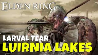 Elden Ring How to Get Larval Tear in Liurnia of the Lakes [upl. by Bores965]