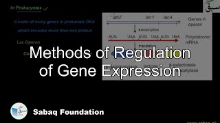 Methods of Regulation of Gene Expression Biology Lecture  Sabaqpk [upl. by Eibrad]