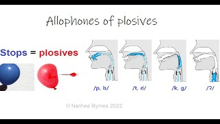 Plosives stops and their allophones [upl. by Nuahsal191]