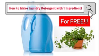 How to Make Your Own Laundry Detergent for FREE 1 ingredient DIY Homemade Dish Soap NonToxic [upl. by Nylanaj]