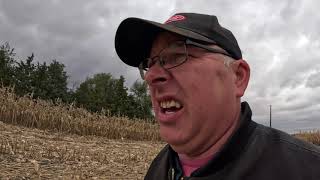 F2 Gleaner Combining Dads Corn and Pork loins on the Traeger [upl. by Blaise]