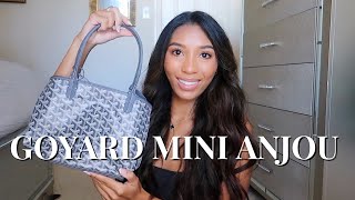 GOYARD MINI ANJOU REVIEW  SHEBAG [upl. by Narhem]