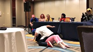 Adrienette at Anime Midwest 2017  Miraculous Ladybug Panel [upl. by Aneerhs]