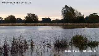 Waddesdon Eythrope Wetlands 02 [upl. by Zaid]