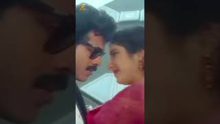 Chemma Chekka Video Song  Bobbili Raja  Venkatesh DivyaBharati  Shorts  ytshorts [upl. by Mccreary]