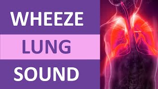 Wheezing Lung Sound Audio High Pitch  Nursing Adventitious Lung Sounds NCLEX Review [upl. by Meg]