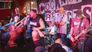 COCKNEY REJECTS  100 CLUB 2016 ALL THEIR HITS Full HD [upl. by Ewell]