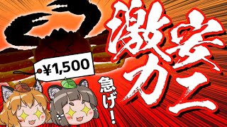 【超激安】今ならquotあのカニquotが1匹1500円で大量に手に入ります！ [upl. by Bibbie]