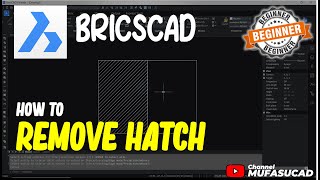 How To Remove Hatch In BricsCAD [upl. by Gannon]