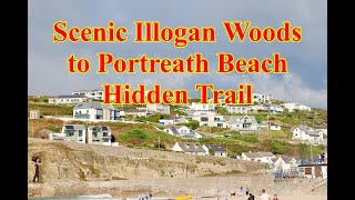 Scenic Illogan Woods to Portreath Beach Hidden Trail [upl. by Htnamas]