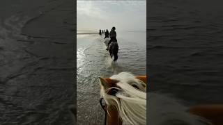 VikiSarina galloppieren durchs Meer 🏇 großen Wunsch erfüllt  Reiten am Strand ✨ ViktoriaSarina [upl. by Colier]